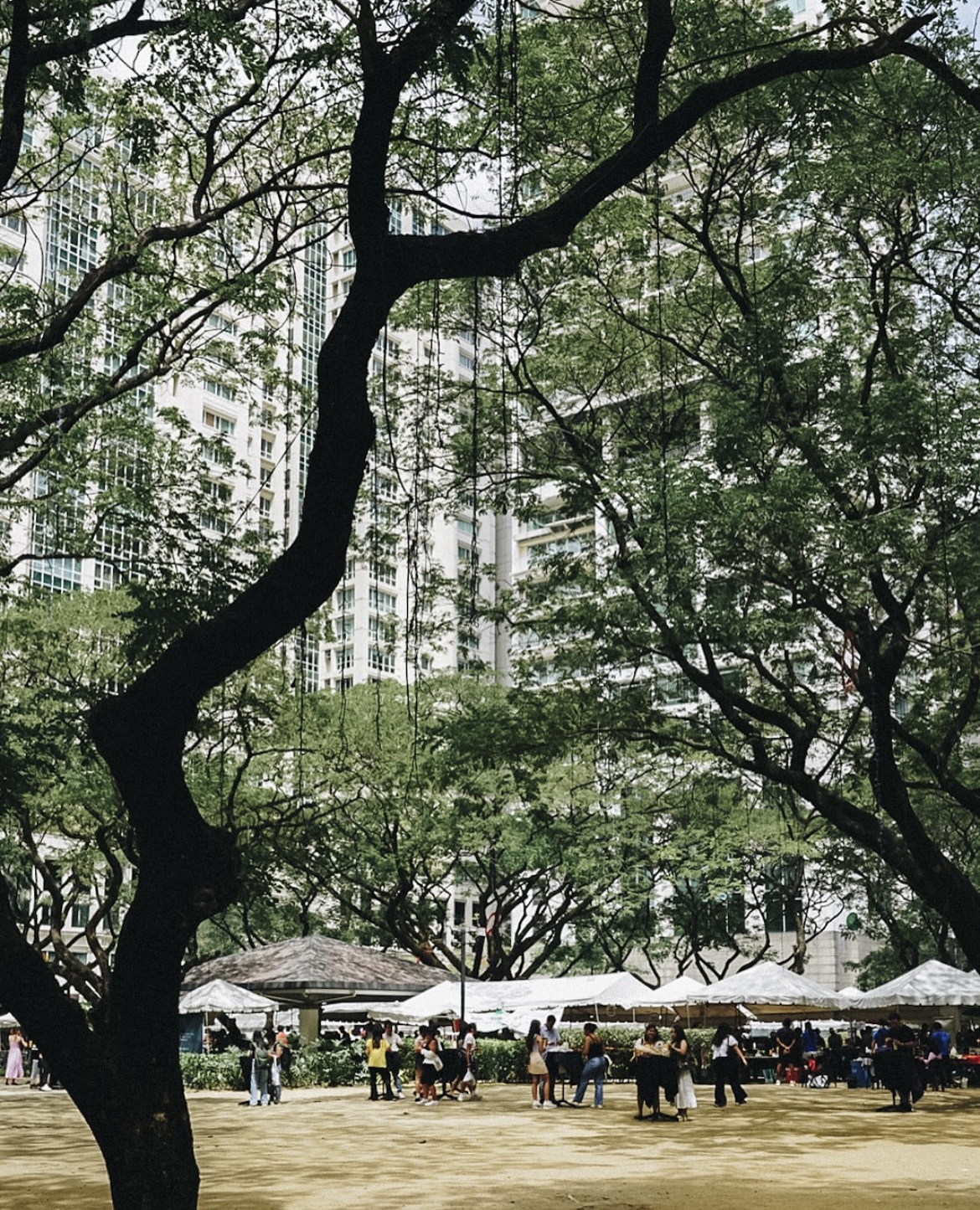 Salcedo Market